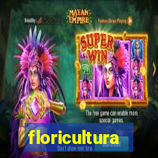 floricultura juazeiro bahia